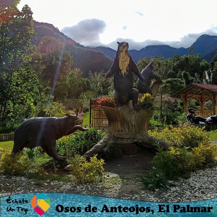 Osos de Anteojos, El Palmar